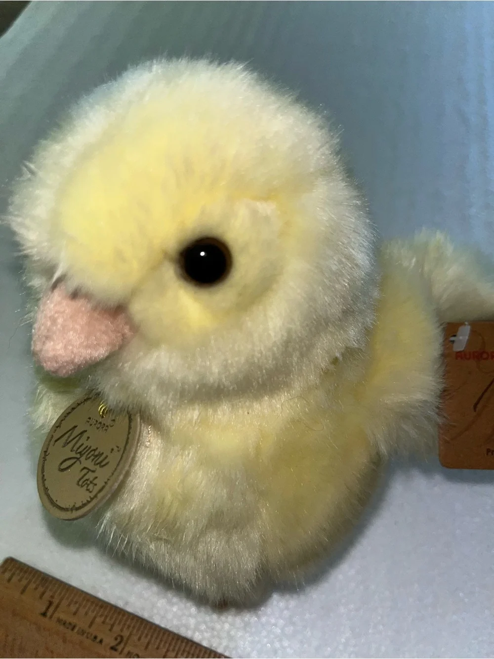 Aurora Miyoni Chick 6